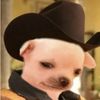 el_chendejo