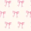 aminabakour2