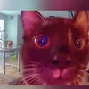 ceciliavanslinger