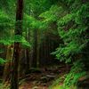 mohammad_abdelhadi.31