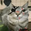 ratbasdard