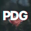 pdgzinxd_