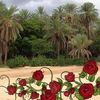 user2321042432655