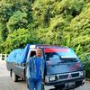 alfaro_batak