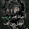 user183905628688