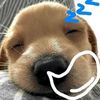 jose.monico1
