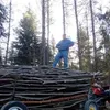 danieldziedzina1