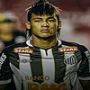 menezes531