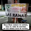 giselaschefer0
