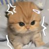 oliv_0885