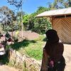 fahira_1905