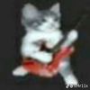 ilovesillycatz_