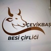 .cevikbas_besi_cifligi