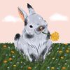 vitta_123wxyz