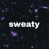 sw3aty_aaa.twitch