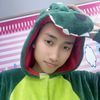 taikemdzai12