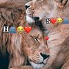 mrpin702