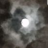 lamia_568