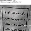 user8491431785068