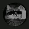 ahmed_cule4
