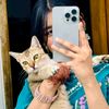 munni.islam.104