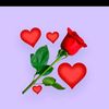 user4122707694819