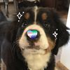 stup1d_mutt