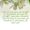 maham9848