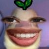 aslymarc