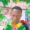 wiseakligo