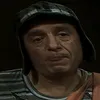 vinicius.briglia