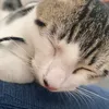victor.maximilian7