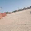 tayebbendiba