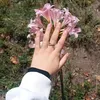 varia_8428
