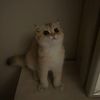 jno_3094