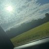 madisonn098