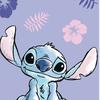 fp.stitch_1