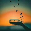 youseef.ahmed72
