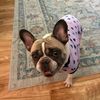 bellabean_429