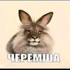 cheremsha63w
