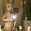 daniel_78502