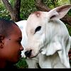 ayouba.samandi