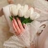 nourhen.nourhen2
