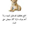amine.maghrbi