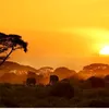 dontfearafrica