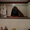 sony_iuli
