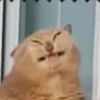 naziaalmahira22