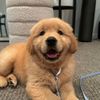 __barkley__