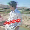 diday.karkuk