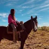 guria_do_colorado